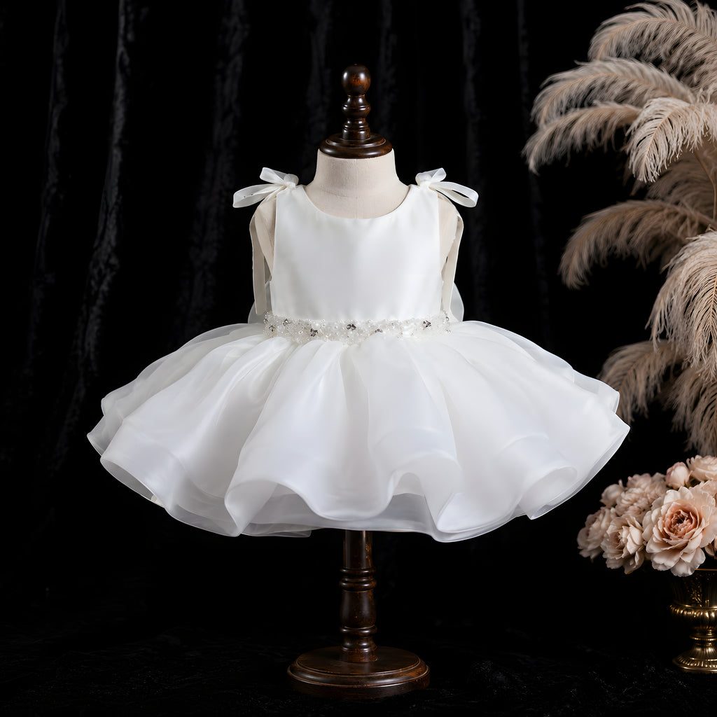 Girls Ivory Organza Butterfly Wing Dress with Lilac 3D Flowers - Flower Girl, Birthday & Photoshoot